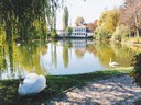 Luenec - park